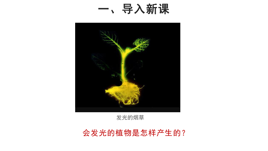 20202021学年苏教版八年级生物下册第9单元第24章第一节 现代生物技术的应用课件.ppt_第2页