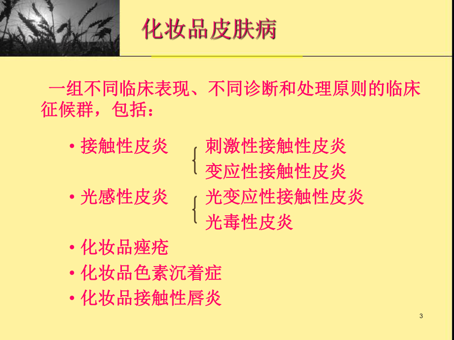 化妆品引起的不良反应课件.ppt_第3页