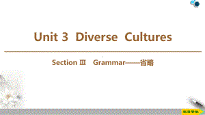 《DiverseCultures》SectionⅢ(完美版)课件下载.pptx