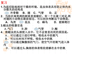 人教小学科学32土壤中的动物课件.ppt