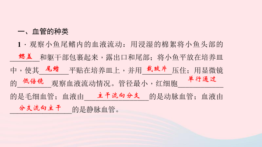 七年级生物下册第四单元第四章第二节血流的管道血管习题课件(新版)新人教版.pptx_第3页