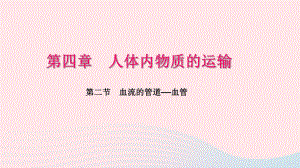 七年级生物下册第四单元第四章第二节血流的管道血管习题课件(新版)新人教版.pptx