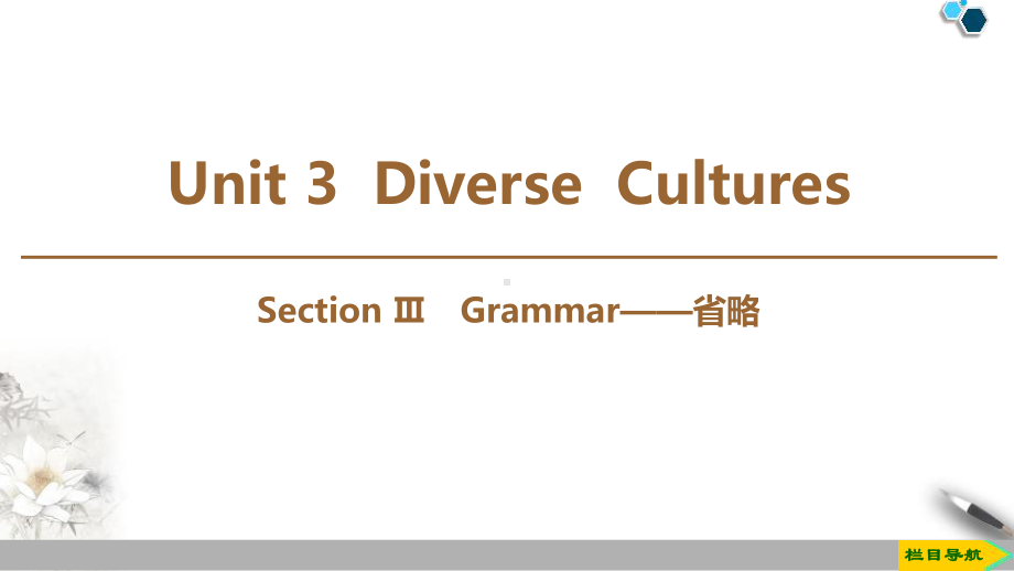 《DiverseCultures》SectionⅢ(完美版)教学讲解课件.pptx_第1页