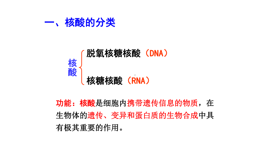 人教版高中生物必修一课件：第2章第三节遗传信息的携带者一一核酸.ppt_第3页