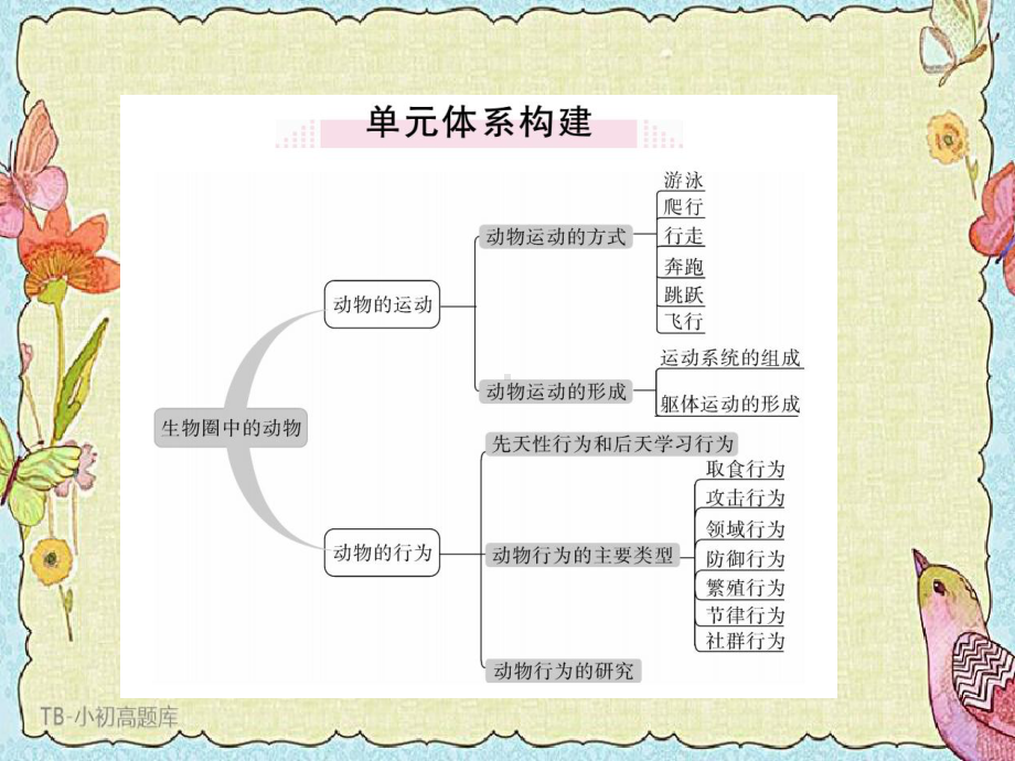 北师大初中生物八年级上册第15、16章 小结与复习课件.ppt_第3页