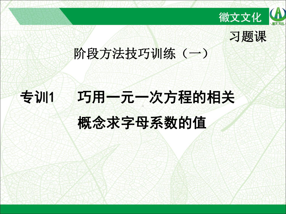 专训1 巧用一元一次方程的相关概念求字母系数的值 公开课一等奖课件.ppt_第1页