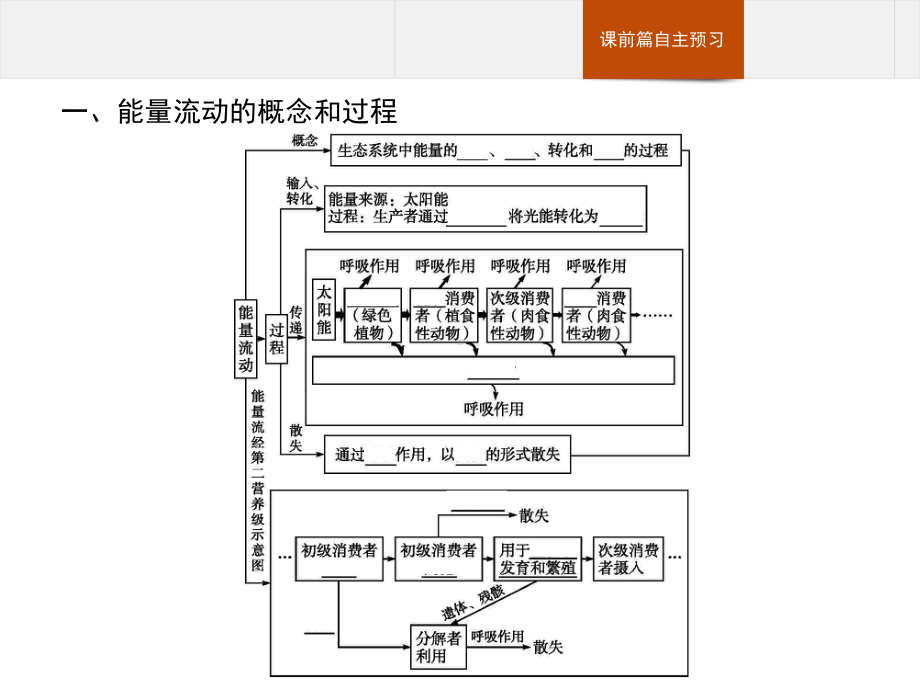 《生态系统的能量流动》新教材1课件.pptx_第3页