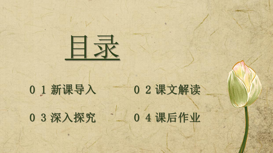 七年级上《荷叶母亲课件 》课件 (一等奖)2022年部编版语文.pptx_第2页