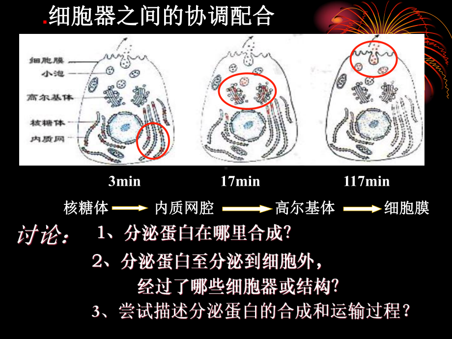 人教版高一生物必修一32细胞器──系统内的分工合作课件.ppt_第2页