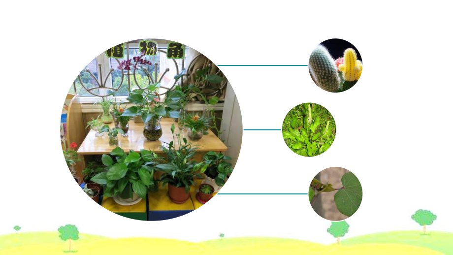 [人教部编本]三年级下习作我的植物朋友课件.pptx_第2页