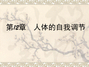 1215 神经系统与神经调节课件 北师大七年级下.ppt