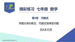 七年级数学上册专题分类训练五 代数式规律型问题课件.ppt