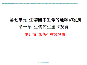 人教版初中二年级下册生物课件 生物的生殖和发育 714 鸟的生殖和发育教学课件全集.pptx