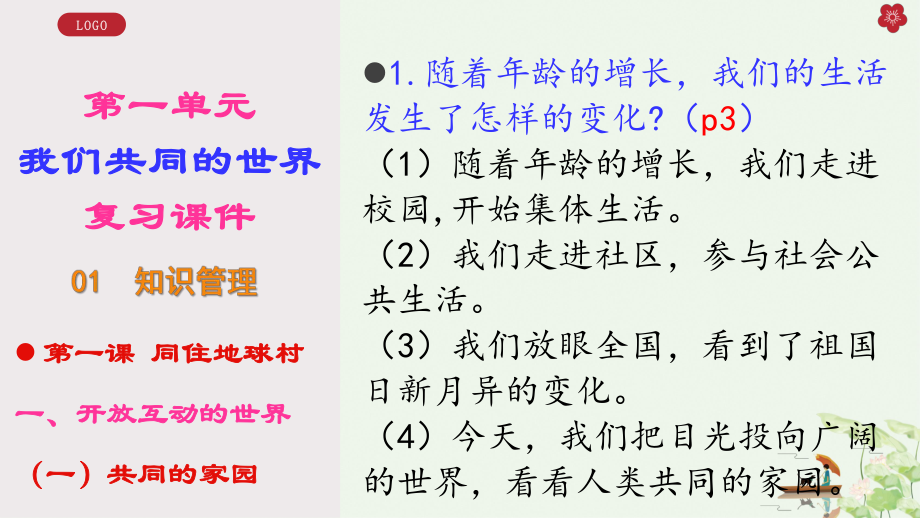 人教版道德与法治九年级下册我们共同的世界复习课课件.pptx_第2页