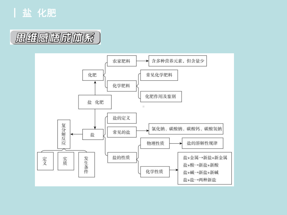 人教版初中九年级下册化学：第十一单元盐化肥课件.ppt_第2页