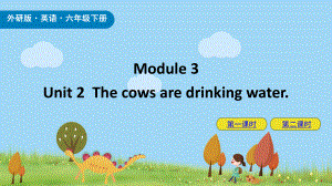 六年级英语下册Module3Unit2Thecowsaredrinkingwater课件外研版(三起).pptx(课件中不含音视频素材)