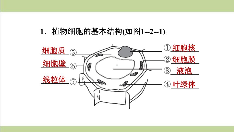 人教版七年级上册初中生物 2122 植物细胞的基本结构 重点习题练习复习课件.ppt_第2页