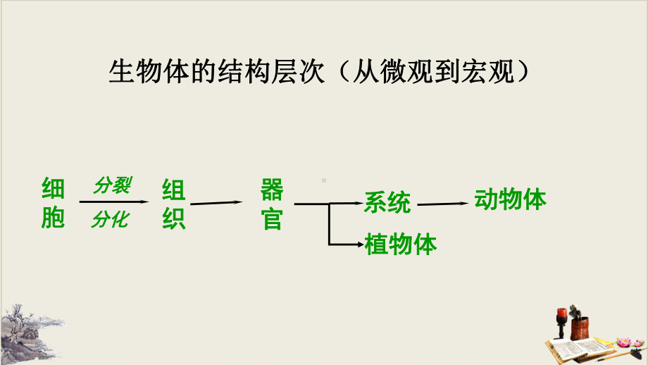 人教版七年级生物上册 4 单细胞生物课件.pptx_第1页