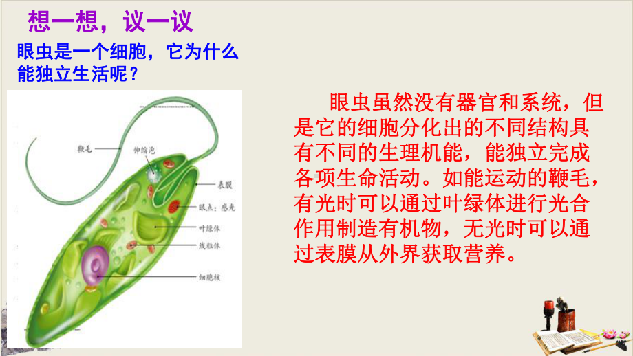 人教版七年级生物上册 4 单细胞生物课件.pptx_第3页