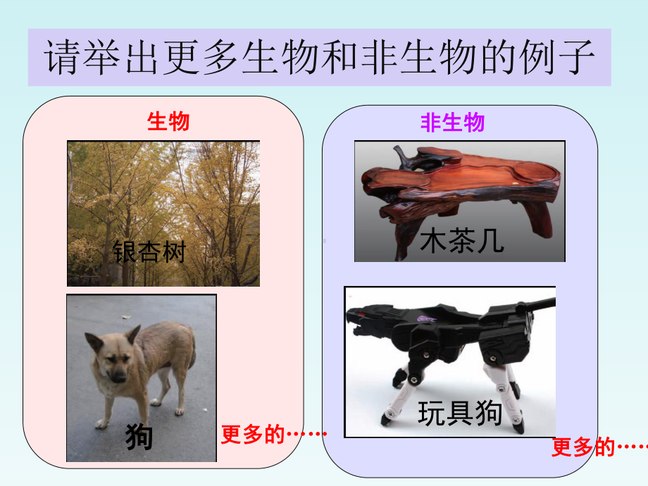 七年级科学上册浙教版七上科学2 1生物与非生物课件.ppt_第3页