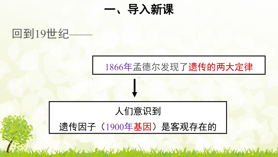 人教版生物必修二第2节基因在染色体上课件1.pptx_第2页