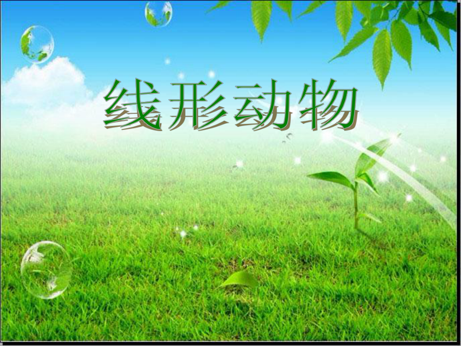 12线形动物和环节动物课件11(生物人教版八年级下册).ppt_第3页