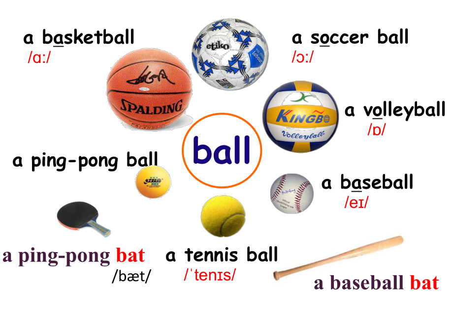 Unit 5Do you have a soccer ball 第一课时课件.pptx(课件中不含音视频素材)_第3页