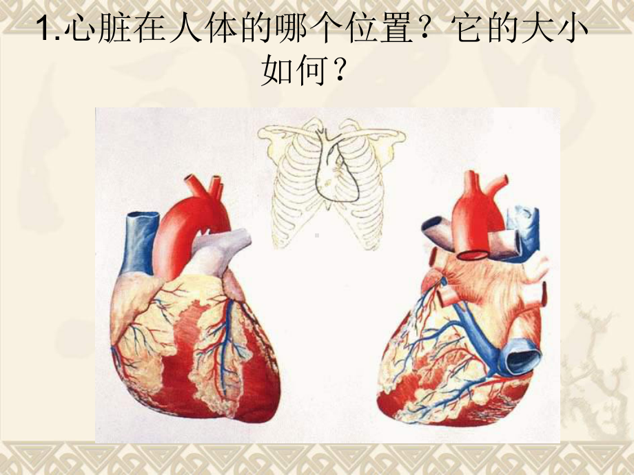 四年级科学下册 心脏的保健 1课件 首师大版.ppt_第2页