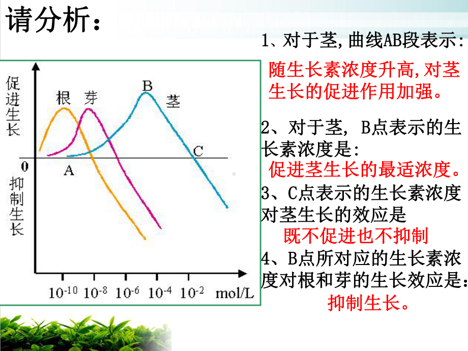 （新教材）人教版高中生物生长素的生理作用优秀课件1.ppt_第3页