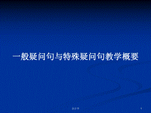 一般疑问句与特殊疑问句教学概要学习教案课件.pptx