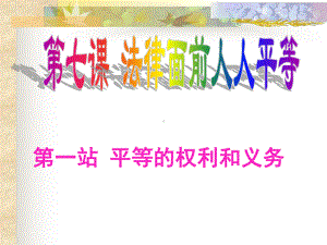 31法律面前人人平等课件5(政治北师大版八年级下册).ppt