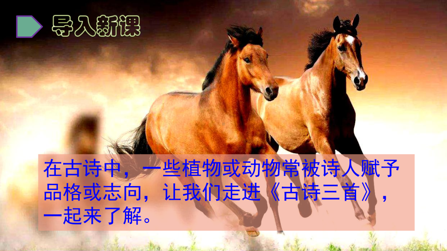 六年级下册语文古诗三首课件.pptx_第2页