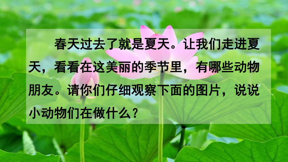 一年级语文下册《识字 动物儿歌》课件.pptx_第2页