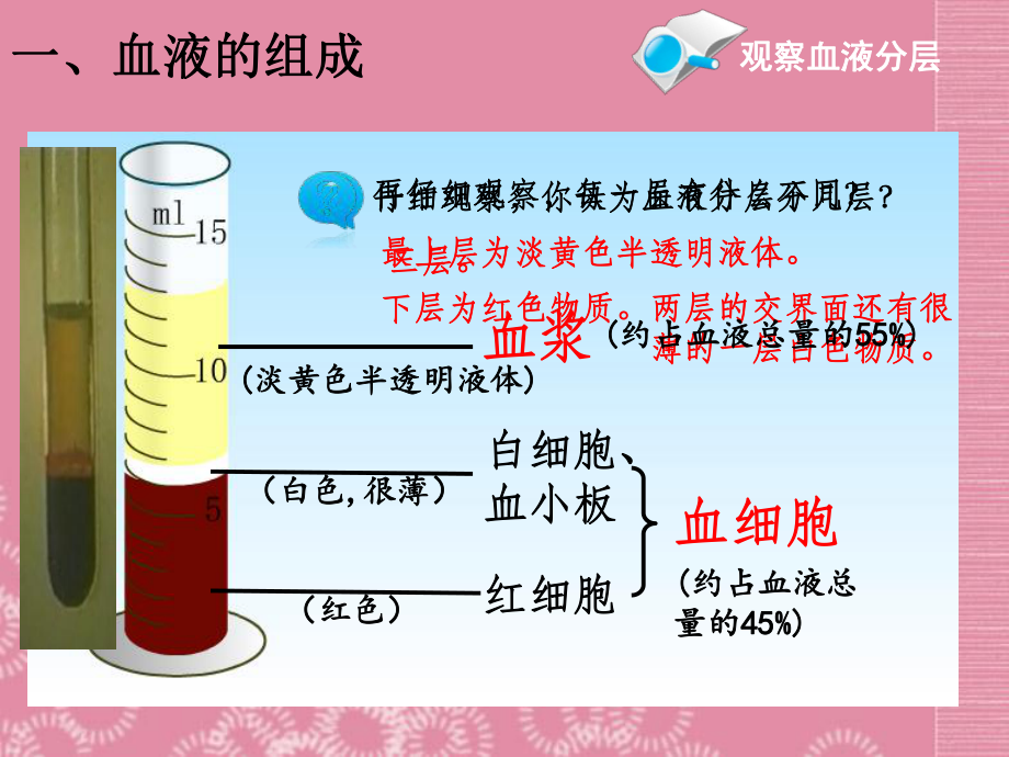 人教版七年级下册生物《第一节 流动的组织-血液》课件.ppt_第3页