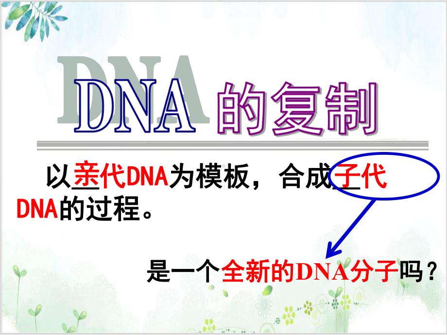 人教版高中生物必修二《DNA的复制》 优秀课件.ppt_第3页