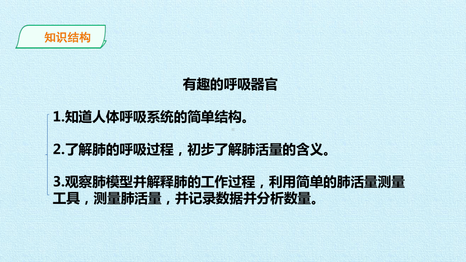 四年级下册科学课件 第二单元 我们怎样呼吸 复习课件大象版.pptx_第3页