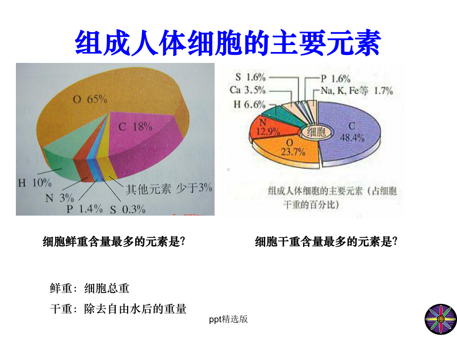 人教版生物必修一第二章复习课件.ppt_第3页