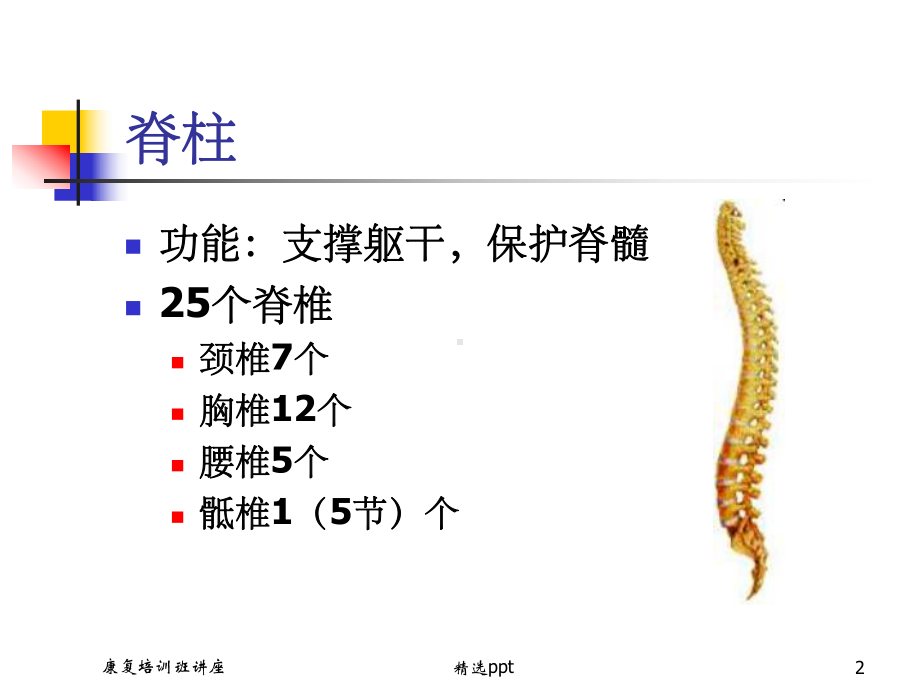 《脊髓损伤评定》课件.ppt_第2页