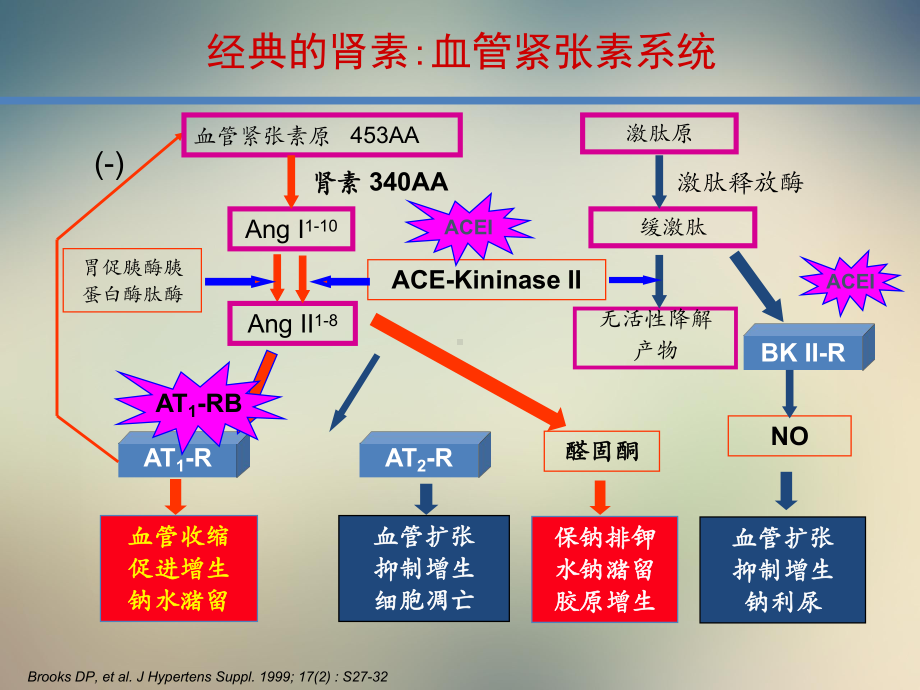 ACEI新机制和心血管保护2021郑州课件.ppt_第2页