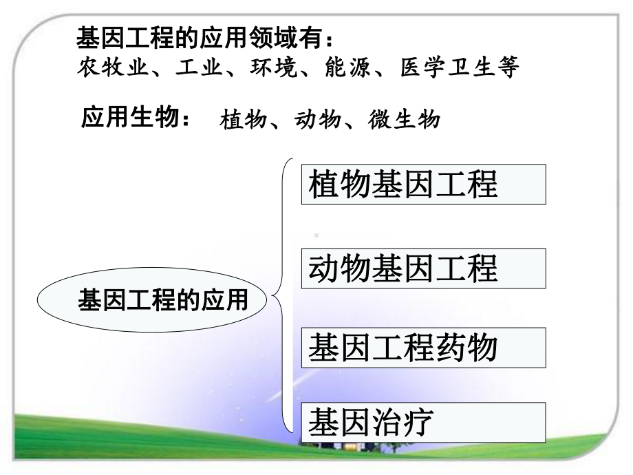 人教版高中生物选修三：13基因工程的应用课件.ppt_第2页