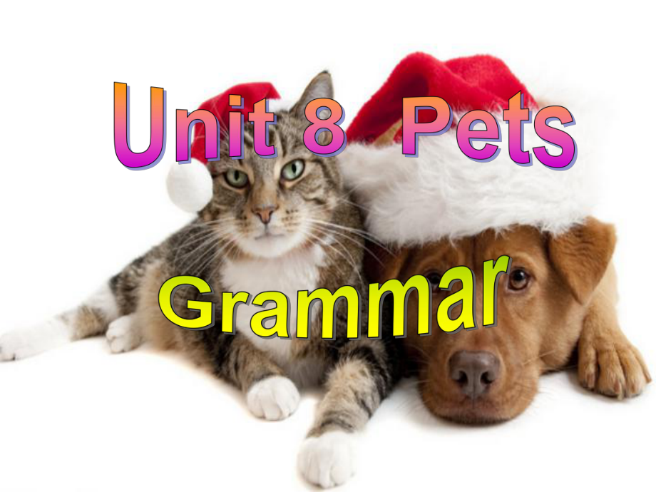 Unit 8 Pets(Grammar)课件(牛津译林版七年级下).ppt(课件中不含音视频素材)_第2页