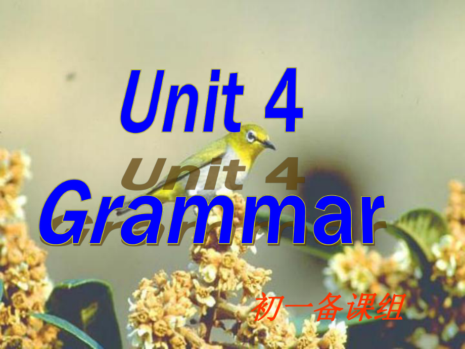 Unit4 My day Grammar课件译林牛津版七年级上册.ppt(课件中不含音视频素材)_第1页