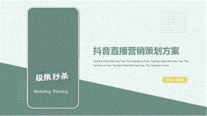 典雅青抖音直播营销策划方案课件.pptx