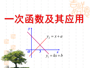 中考数学总复习：一次函数课件.ppt