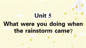 人教版英语八年级下册Unit 5 What were you doing when the rainstorm came 总复习课件.ppt(课件中不含音视频素材)