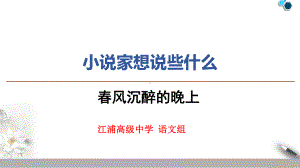 《春风沉醉的晚上》课件.ppt