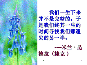 《致橡树》优秀课件.ppt