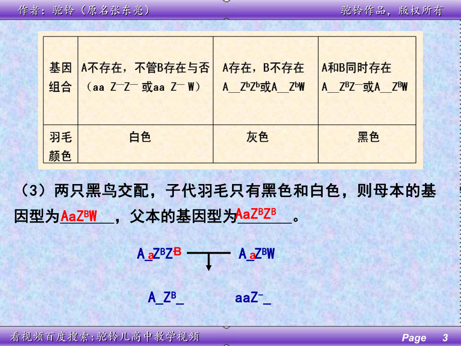 伴性遗传习题讲解(一)课件.ppt_第3页