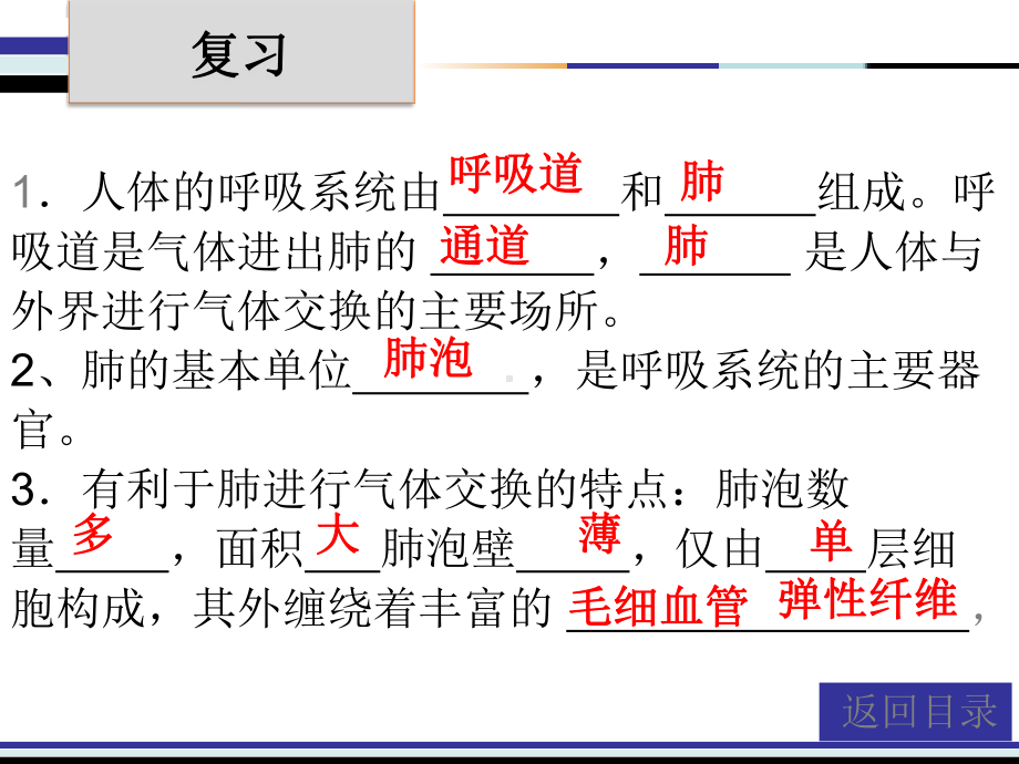 20202021学年北师大版初中生物七年级下册课件：第10章第2节人体细胞获得氧气的过程.ppt_第2页