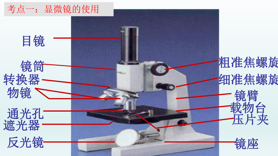 2020年中考备考生物一轮复习课件专题专题02 细胞是生命活动的基本单位.pptx_第3页